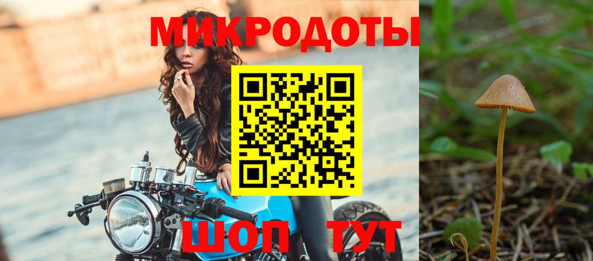 Псилоцибиновые грибы Magic Shrooms  Вход с VPN  Сухой Лог 