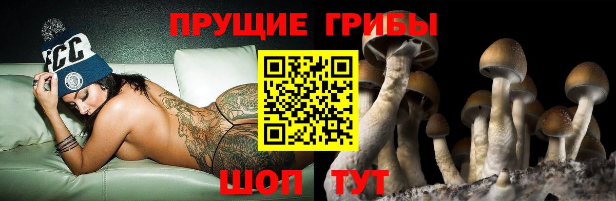 Псилоцибиновые грибы GOLDEN TEACHER Сухой Лог